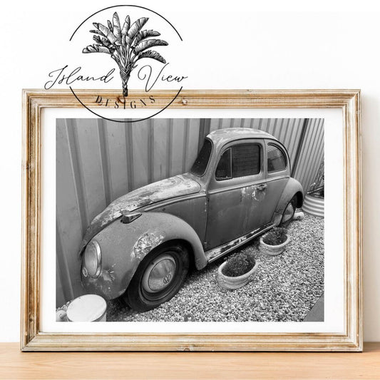VW-Artwork-Photograph-Black-and-white-Garden-ornament