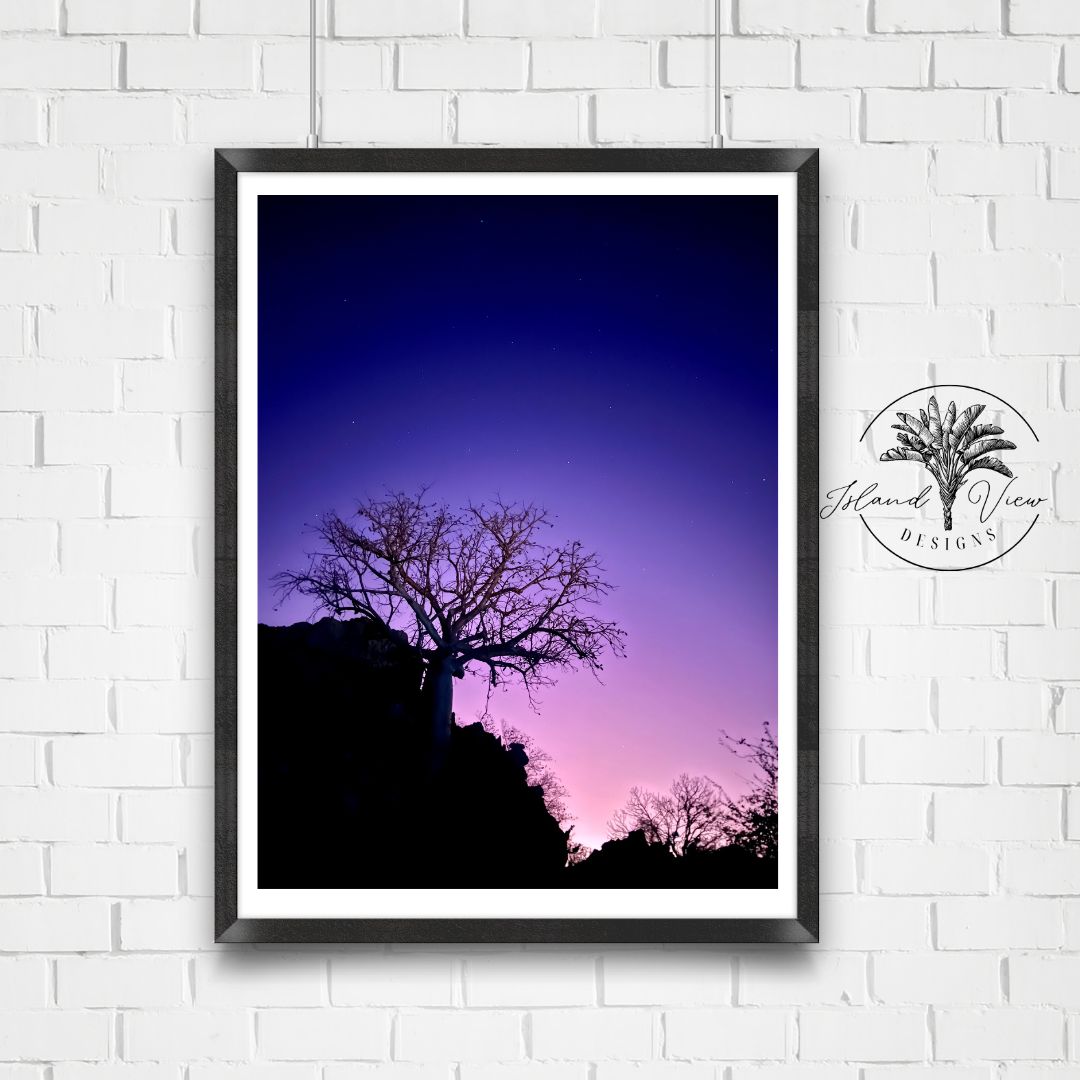 Last-Light-Sunset-Boab-Tree