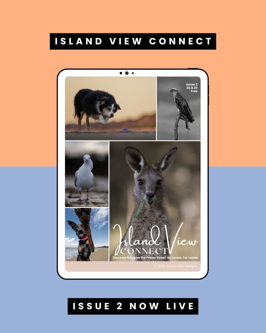 Island View Connect Magazine - Read Issue 2 - 20th August 2025