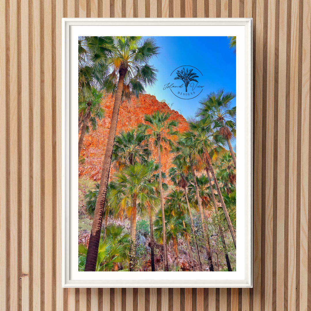 Desert-Palms-Photo